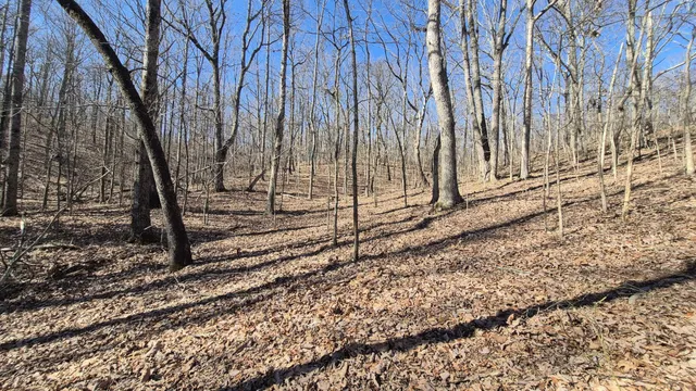 $65,800 | 61 Teludachee Trail, South Pittsburg, TN 37380