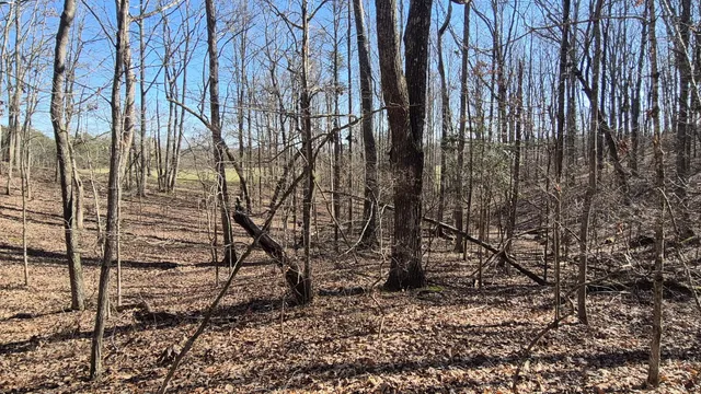 $65,800 | 61 Teludachee Trail, South Pittsburg, TN 37380