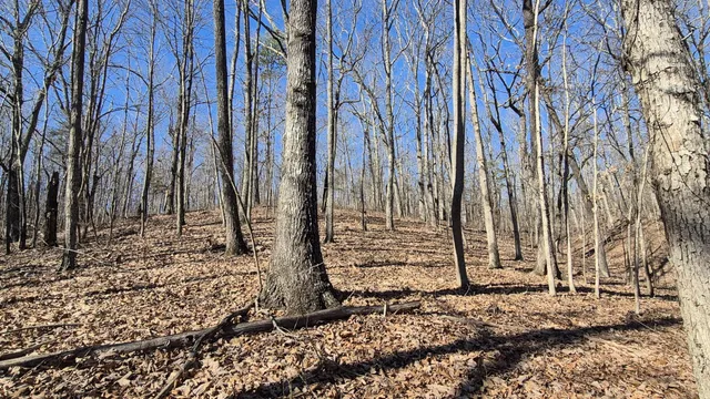 $65,800 | 61 Teludachee Trail, South Pittsburg, TN 37380