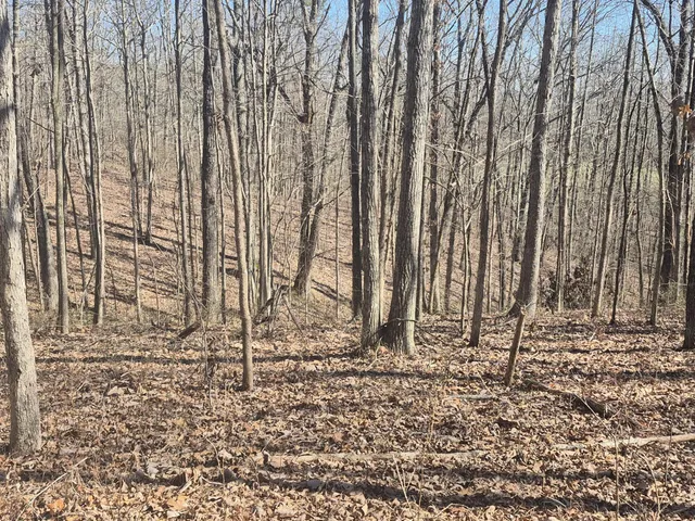 $65,800 | 61 Teludachee Trail, South Pittsburg, TN 37380