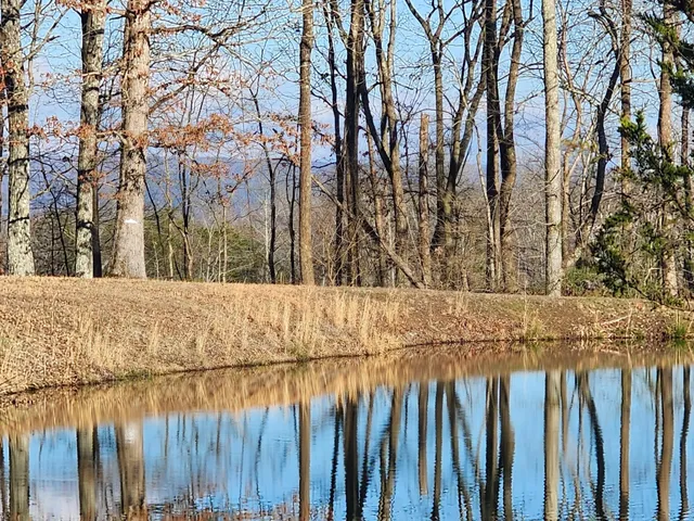 $65,800 | 61 Teludachee Trail, South Pittsburg, TN 37380