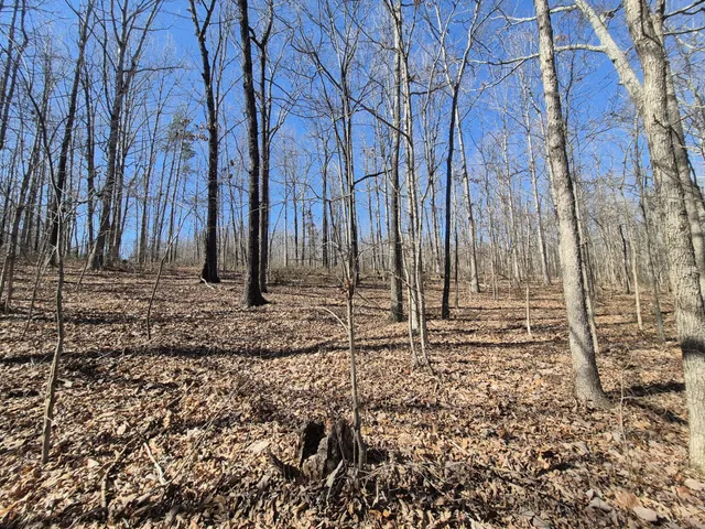 $65,800 | 61 Teludachee Trail, South Pittsburg, TN 37380