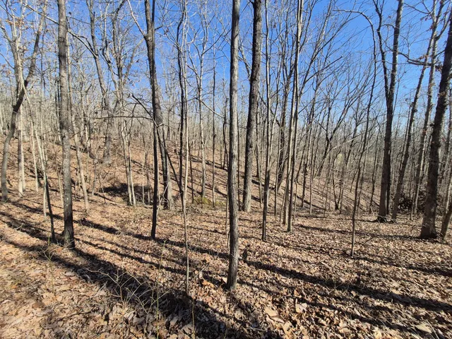 $65,800 | 61 Teludachee Trail, South Pittsburg, TN 37380