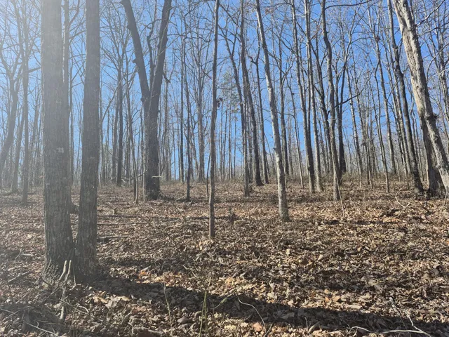 $65,800 | 61 Teludachee Trail, South Pittsburg, TN 37380