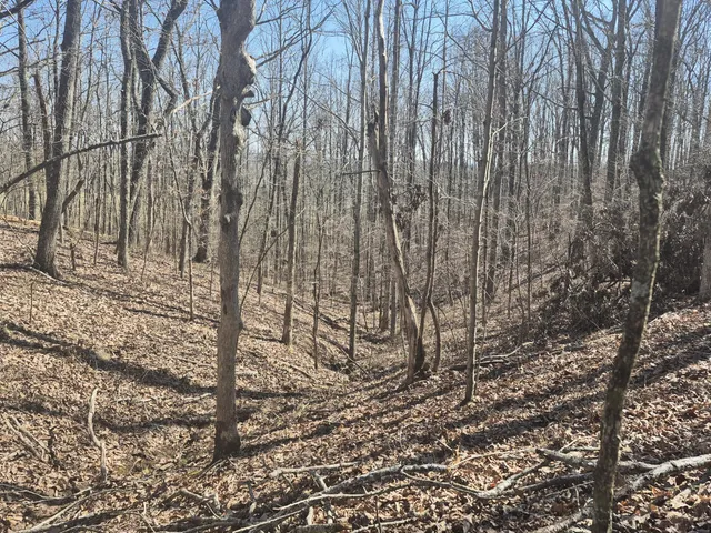 $65,800 | 61 Teludachee Trail, South Pittsburg, TN 37380