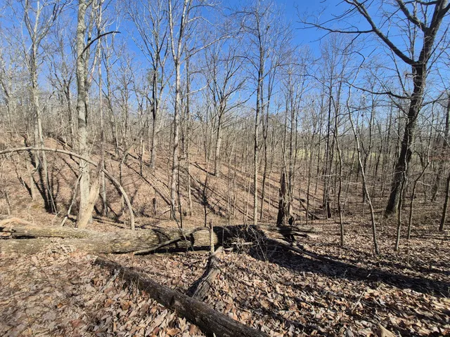 $65,800 | 61 Teludachee Trail, South Pittsburg, TN 37380