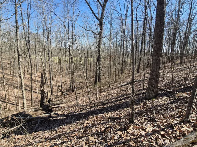 $65,800 | 61 Teludachee Trail, South Pittsburg, TN 37380