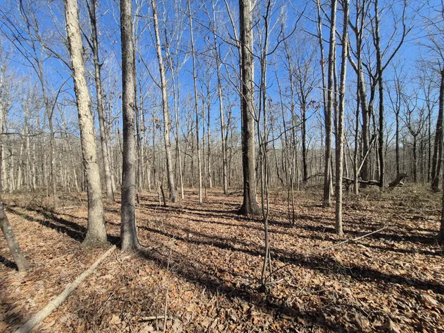 $65,800 | 61 Teludachee Trail, South Pittsburg, TN 37380