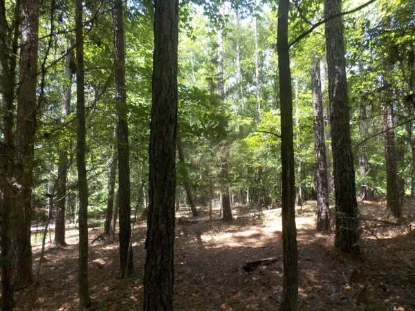 $13,000 | 1054 Pine Point Lane, Tignall, GA 30668