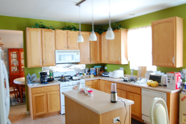 1957 Brimstone Road Romeoville, IL 60446 - Photo 3 of 10