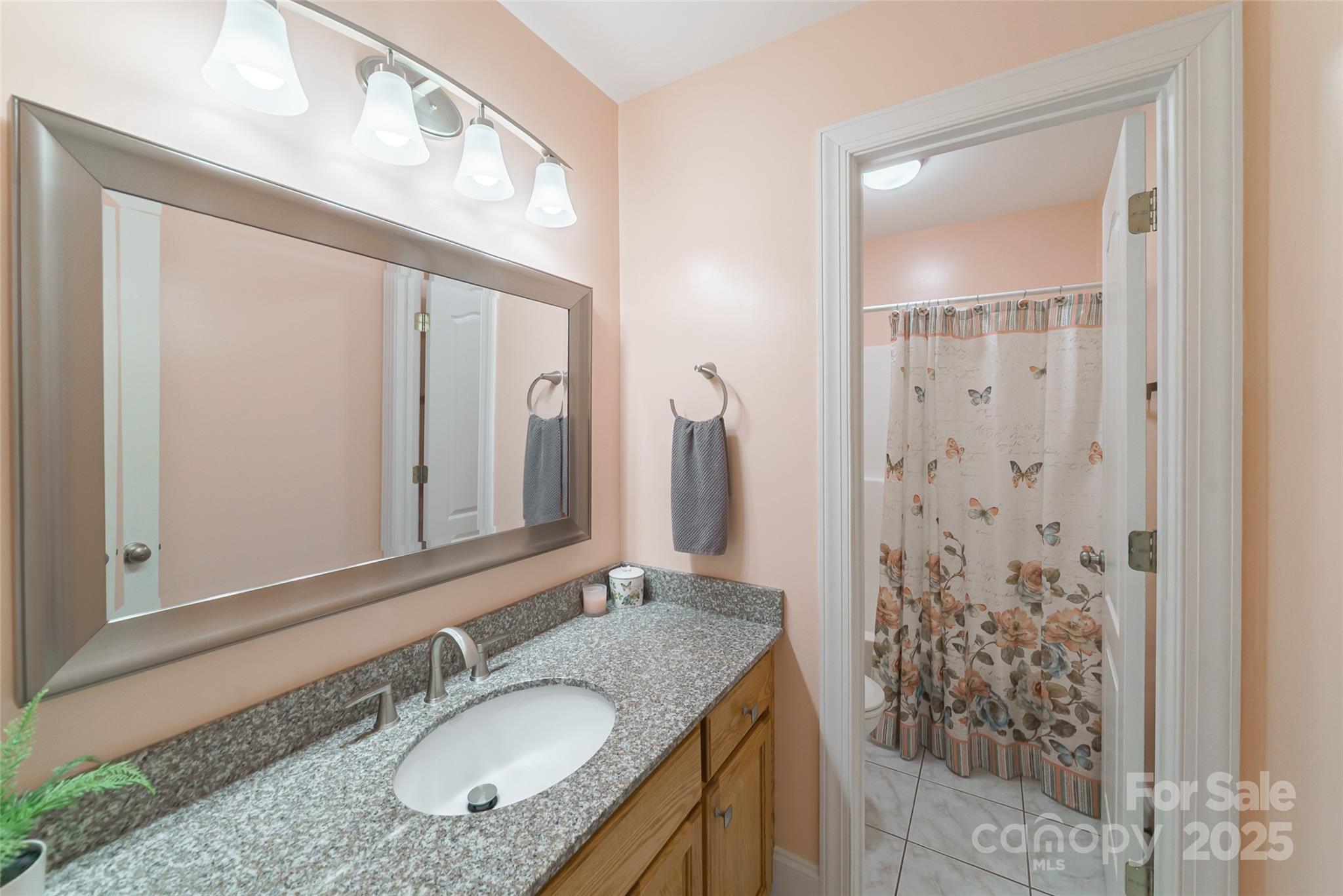 241 Old Springs Road Fort Mill, SC 29715 - Photo 29 of 48 a bathroom with a granite countertop shower a sink and a mirror