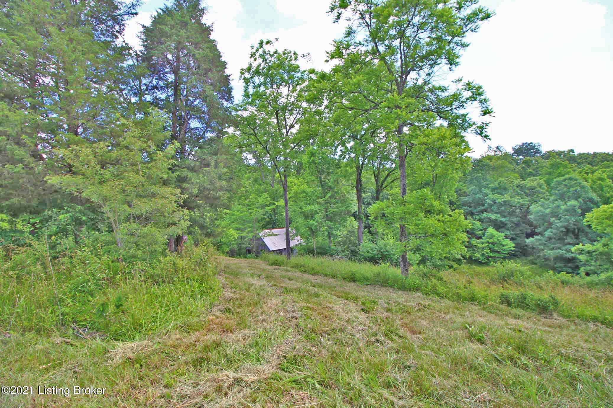 Hunting Cabin