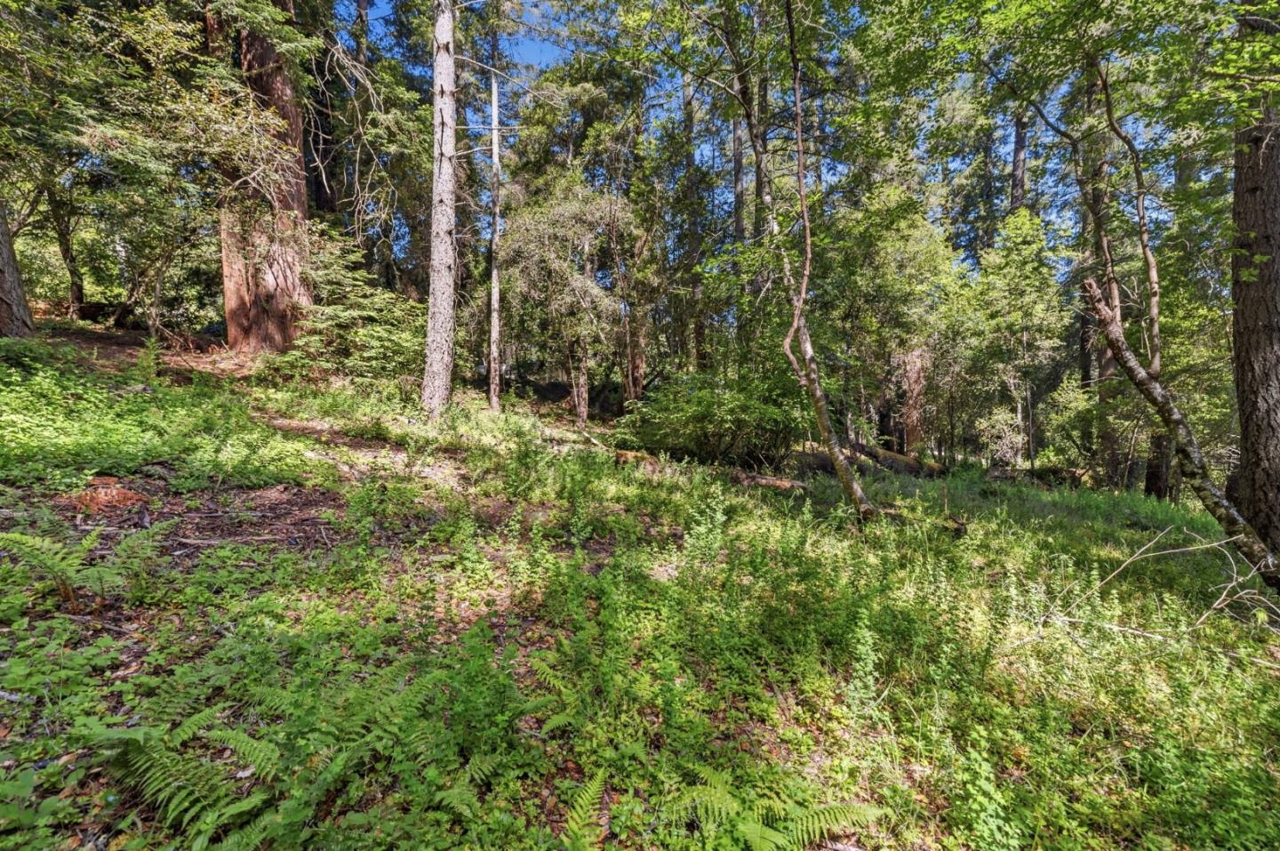 0 Garfield Way Felton, CA 95018 - Photo 4 of 21