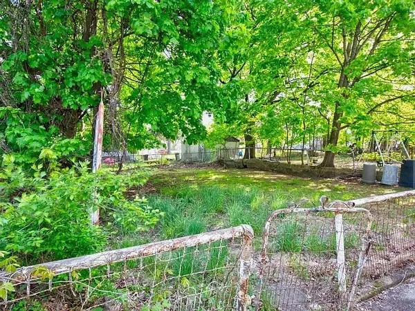 a garden view
