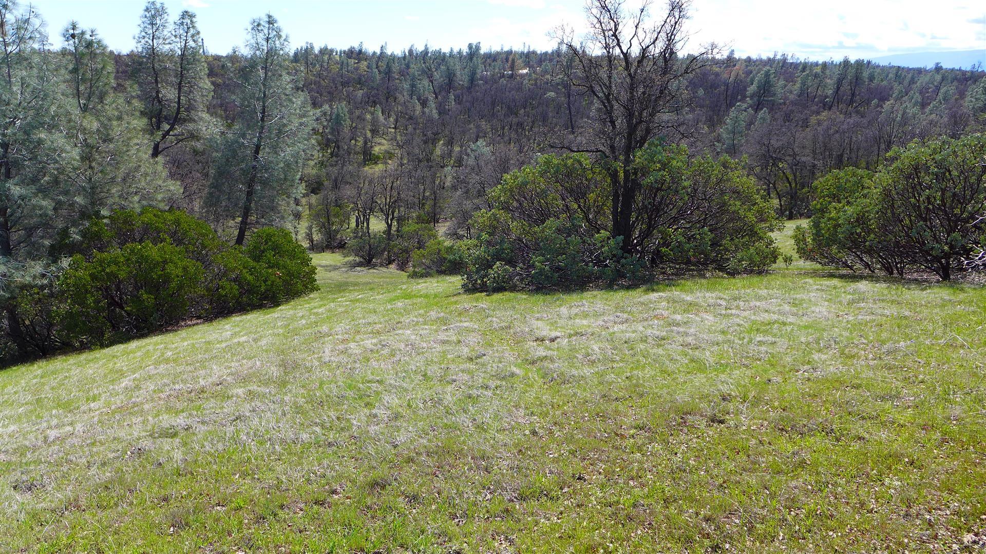 16295 Kahn Road Cottonwood, CA 96022 - Photo 11 of 18 P1060349