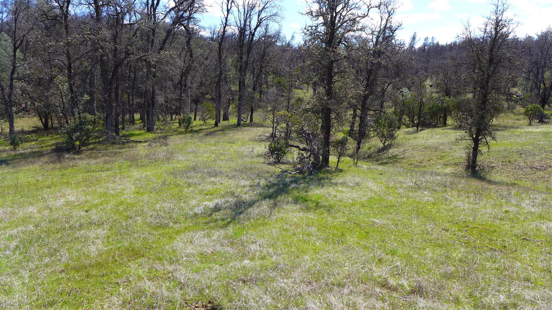 16295 Kahn Road Cottonwood, CA 96022 - Photo 12 of 18 P1060350
