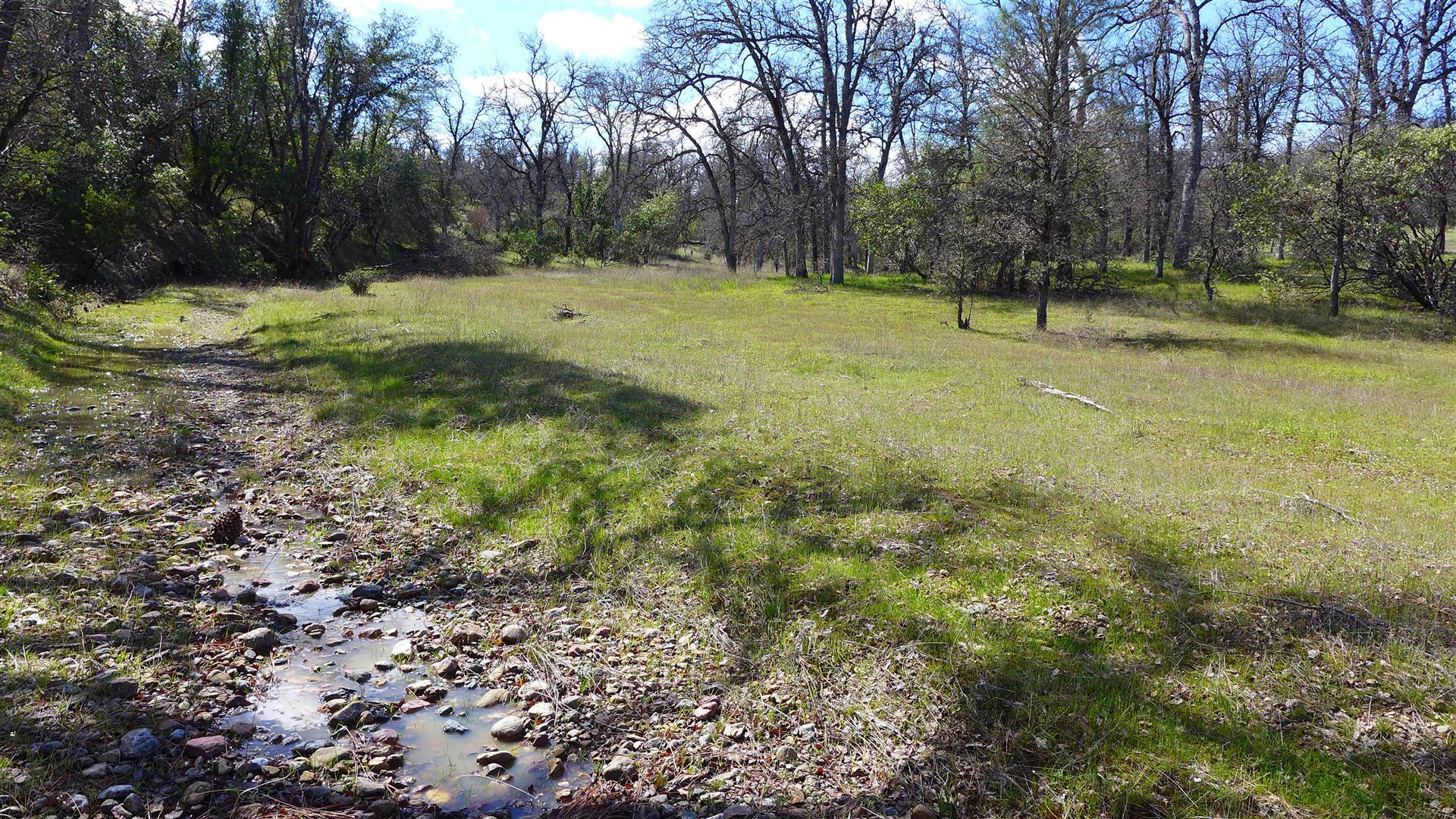 16295 Kahn Road Cottonwood, CA 96022 - Photo 14 of 18 P1060352
