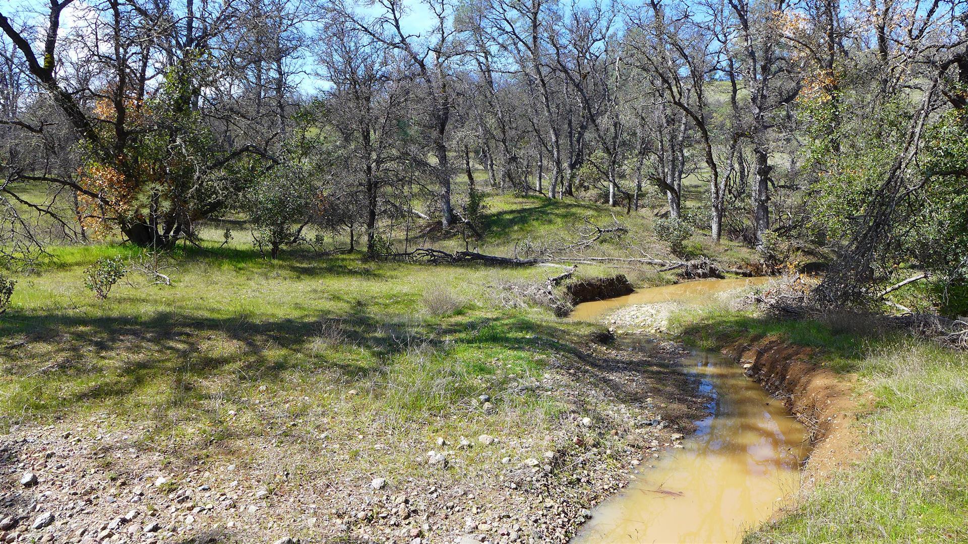 16295 Kahn Road Cottonwood, CA 96022 - Photo 15 of 18 P1060353