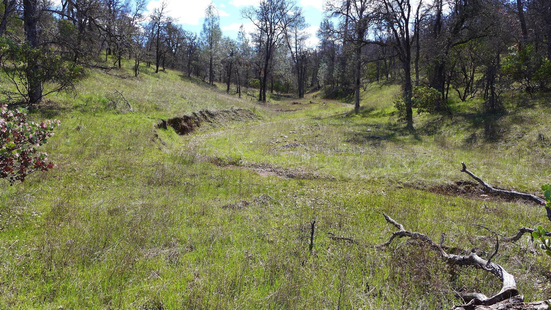 16295 Kahn Road Cottonwood, CA 96022 - Photo 18 of 18 P1060356