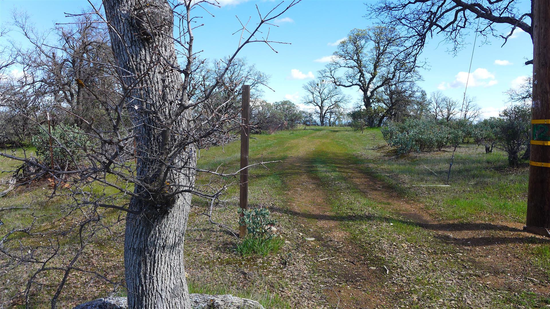 16295 Kahn Road Cottonwood, CA 96022 - Photo 6 of 18 P1060342