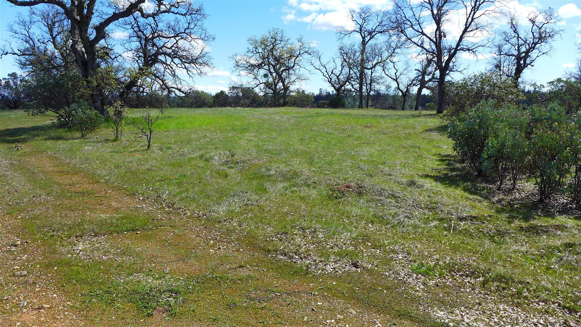 16295 Kahn Road Cottonwood, CA 96022 - Photo 8 of 18 P1060344