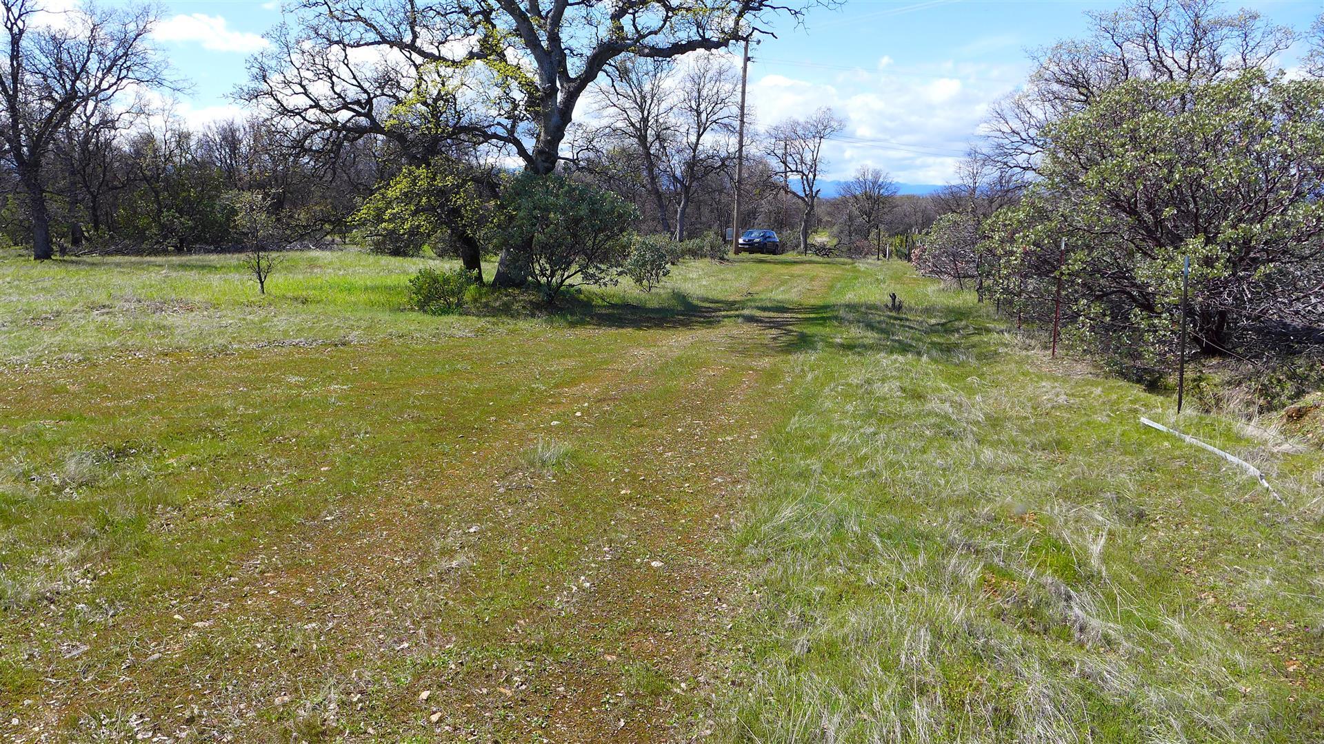 16295 Kahn Road Cottonwood, CA 96022 - Photo 9 of 18 P1060346