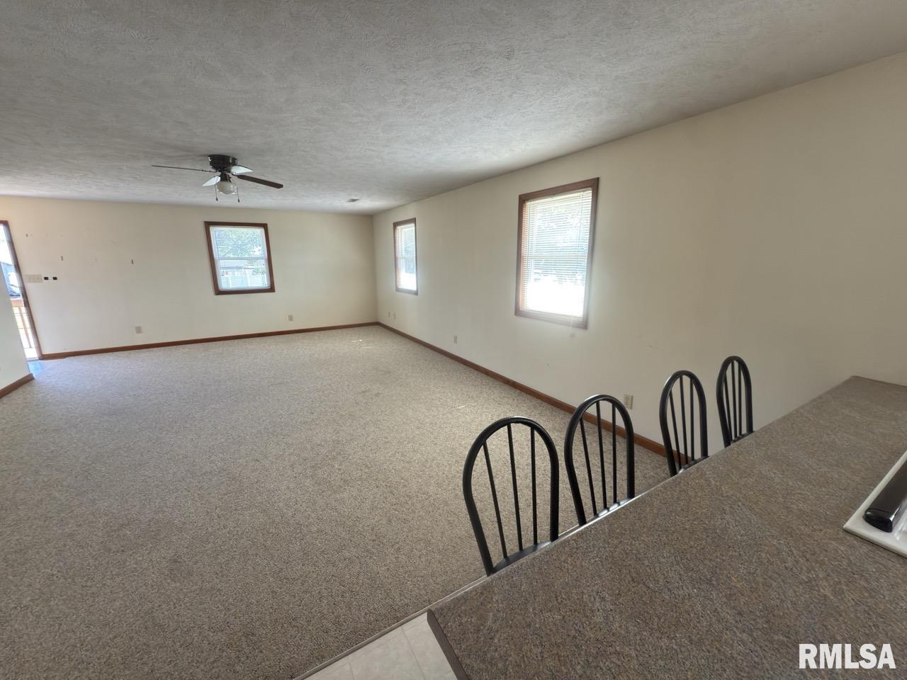 540 North Main Street, Unit D Morton, IL 61550 - Photo 5 of 17