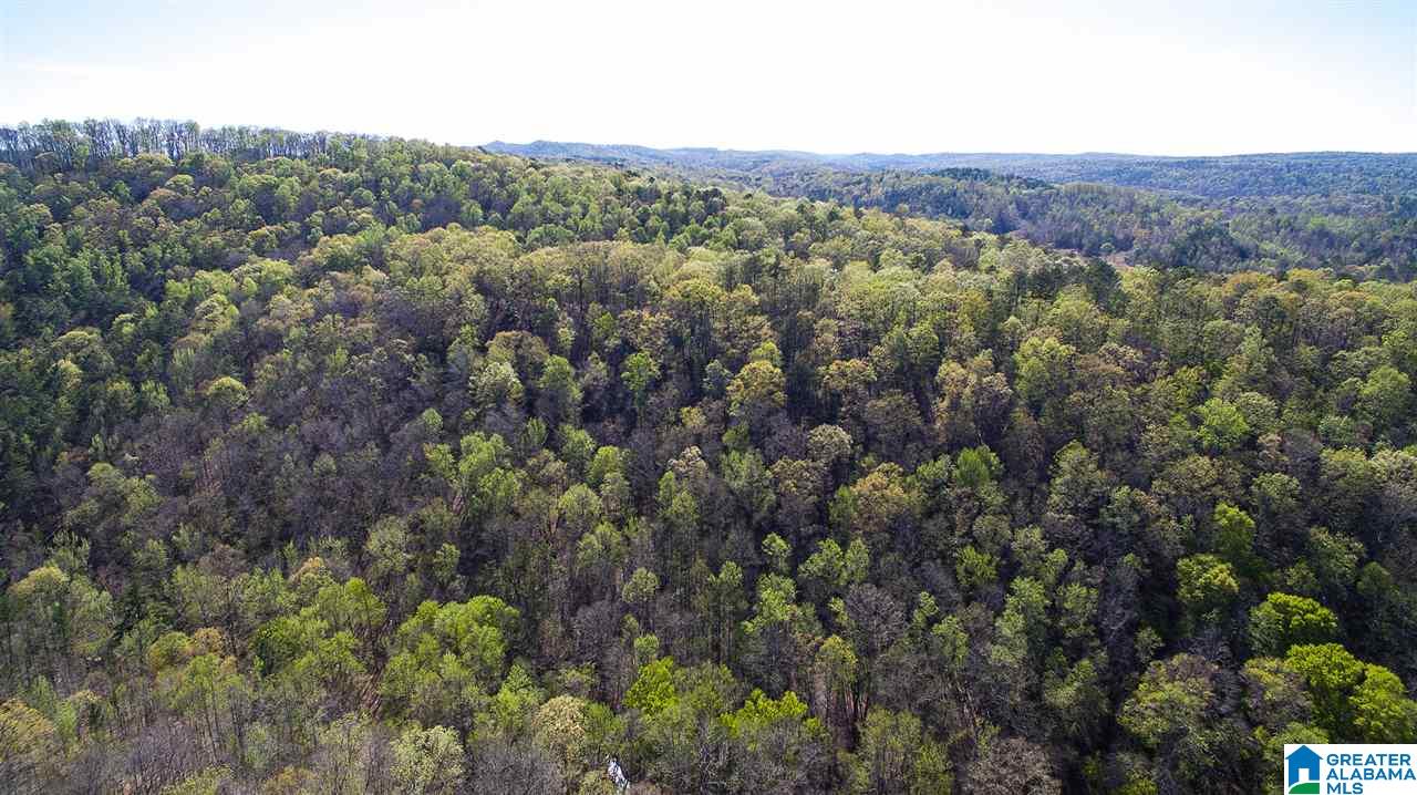 8751 Clayton Cove Road Springville, AL 35146 - Photo 43 of 44
