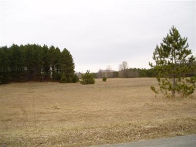 Kerry Road Brethren, MI 49619 - Photo 1 of 17 Primary Photo