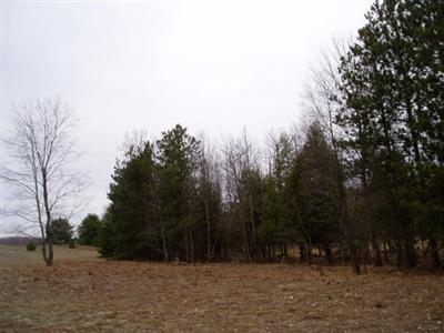 Kerry Road Brethren, MI 49619 - Photo 13 of 17 Additional Photo