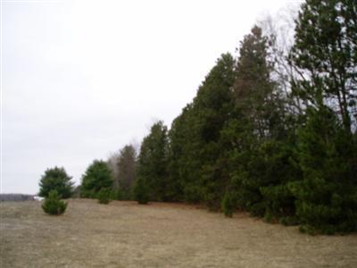 Kerry Road Brethren, MI 49619 - Photo 14 of 17 Additional Photo