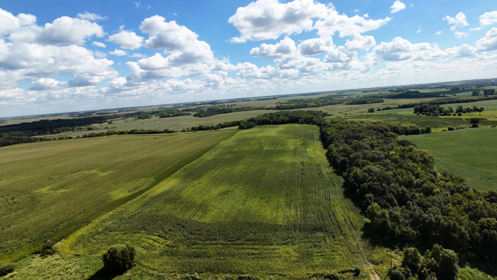 Tbd 260th Street West Waterville, MN 56096 - Photo 2 of 10