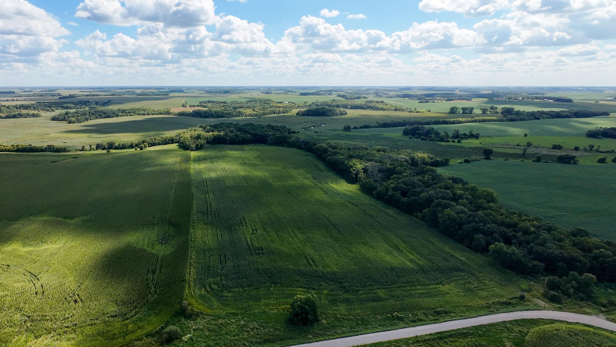 Tbd 260th Street West Waterville, MN 56096 - Photo 6 of 10