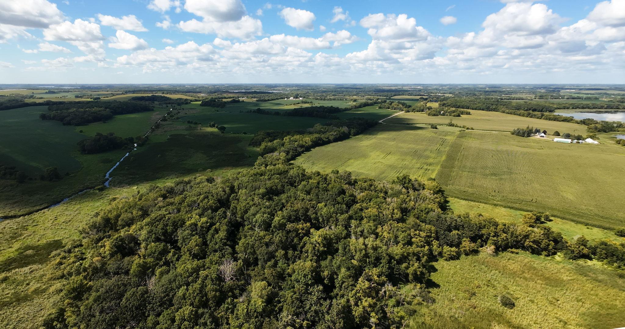 Tbd 260th Street West Waterville, MN 56096 - Photo 8 of 10