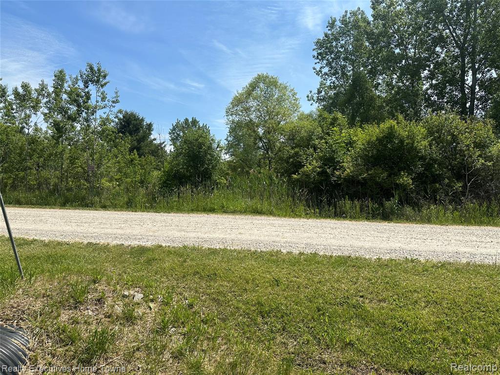 0 Kilburn Road Jeddo, MI 48032 - Photo 5 of 5