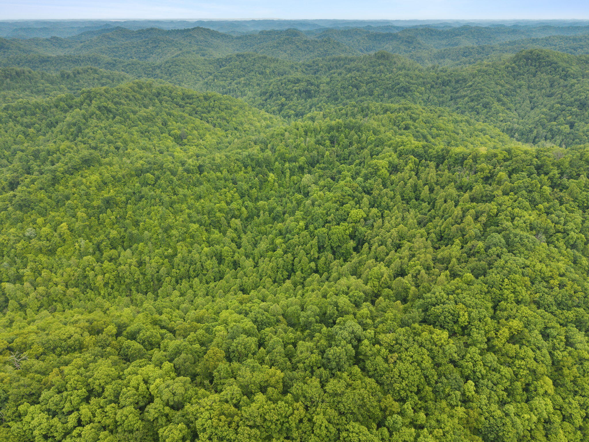 0 Jetts Creek Road Jackson, KY 41339 - Photo 16 of 31 15-web-or-mls-DJI_20260505153027_0038_D