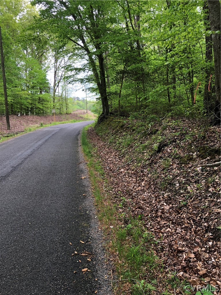 Tbd Moody Road Hopewell, VA 23860 - Photo 1 of 2 a view of a forest with trees