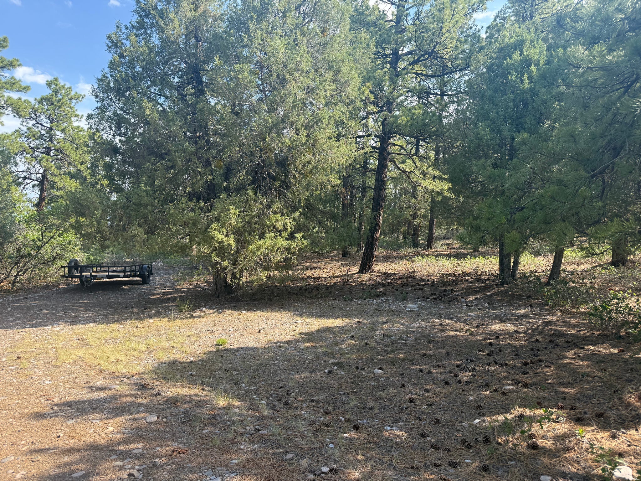 4 Crown Pt Road Chama, NM 87520 - Photo 8 of 54 Gallery Image 8
