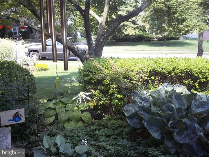 6 Lawnside Road Cheltenham, PA 19012 - Photo 3 of 18 Gallery Image 3