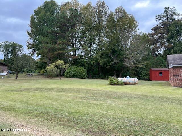 5046 Higdon Road Holly Springs, MS 38635 - Photo 8 of 34 Side yard