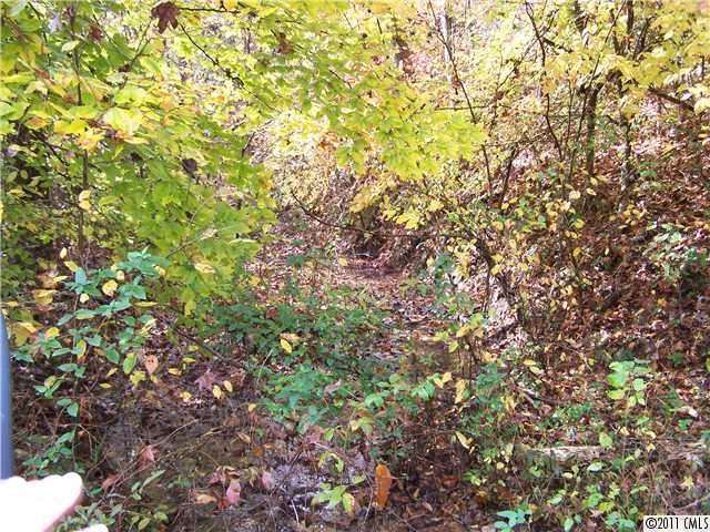 990 Childers Road Cleveland, NC 27013 - Photo 5 of 7 a view of a tree
