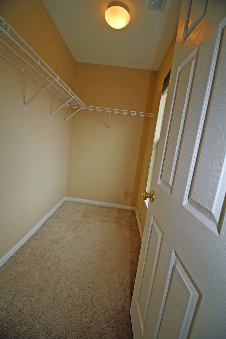 706 Thornbury Road, Unit 1124 Bartlett, IL 60103 - Photo 11 of 21