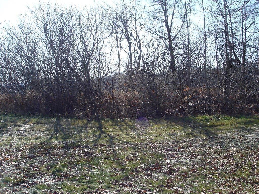 468 Benton Road Albion, ME 04910 - Photo 27 of 29 View Of Back Yard