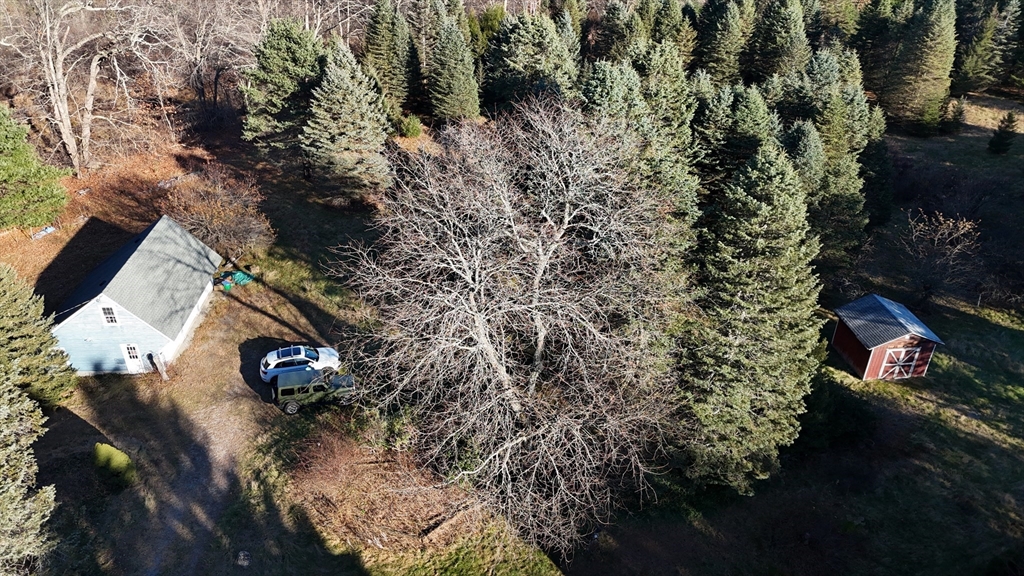 146 Tahattawan Road Littleton, MA 01460 - Photo 10 of 16