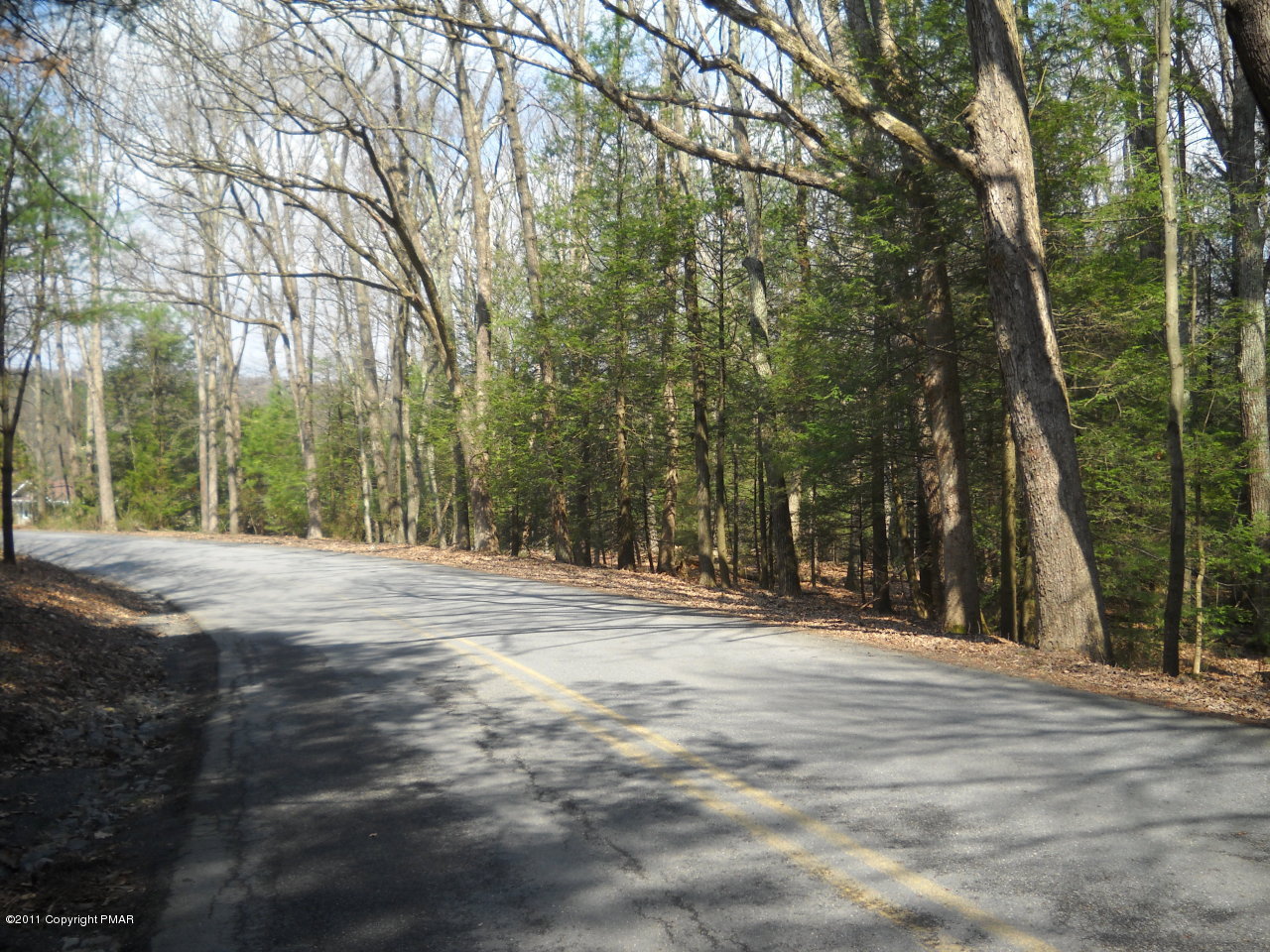 a view of outdoor space with trees