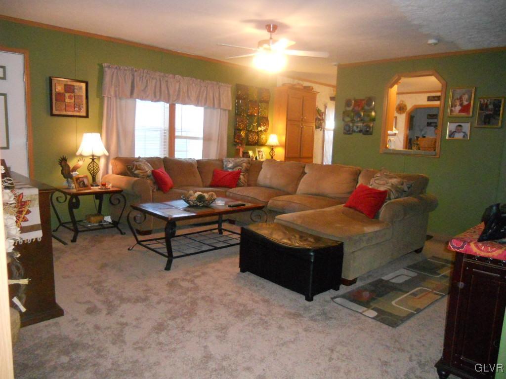 8733 Turkey Ridge Road Breinigsville, PA 18031 - Photo 5 of 19 a living room with furniture and a window