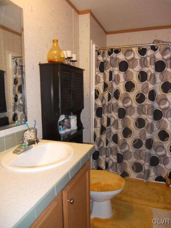 8733 Turkey Ridge Road Breinigsville, PA 18031 - Photo 9 of 19 a bathroom with a sink toilet and shower