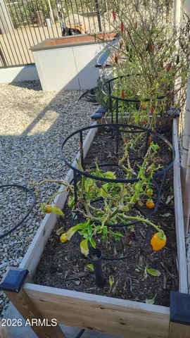 a view of outdoor space