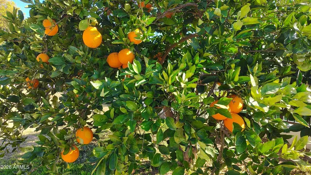 $5,000 | 15420 East Via Del Rancho, Gilbert, AZ 85298