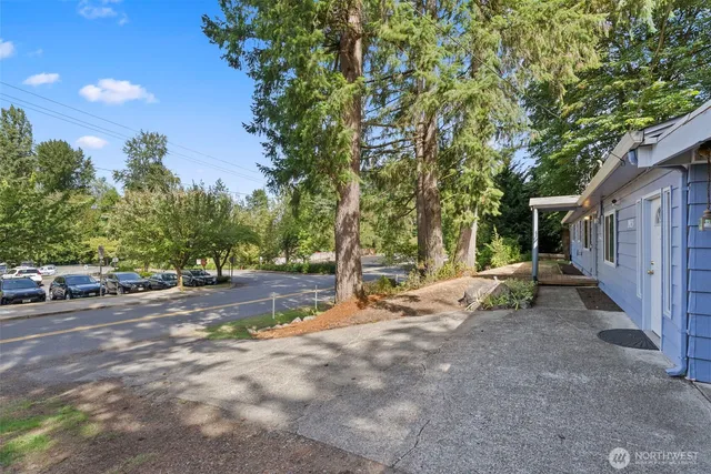 a view of a patio with a tree